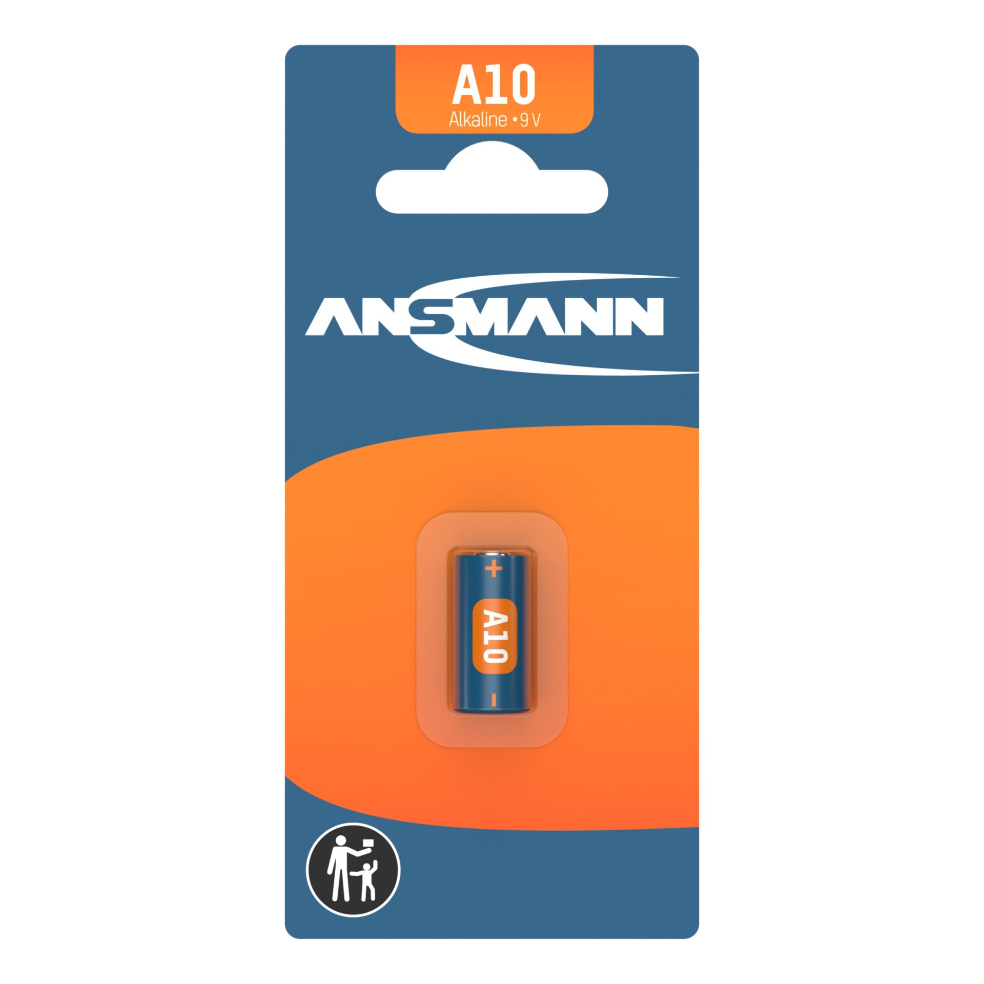 10x1 Ansmann A 10 LR 10