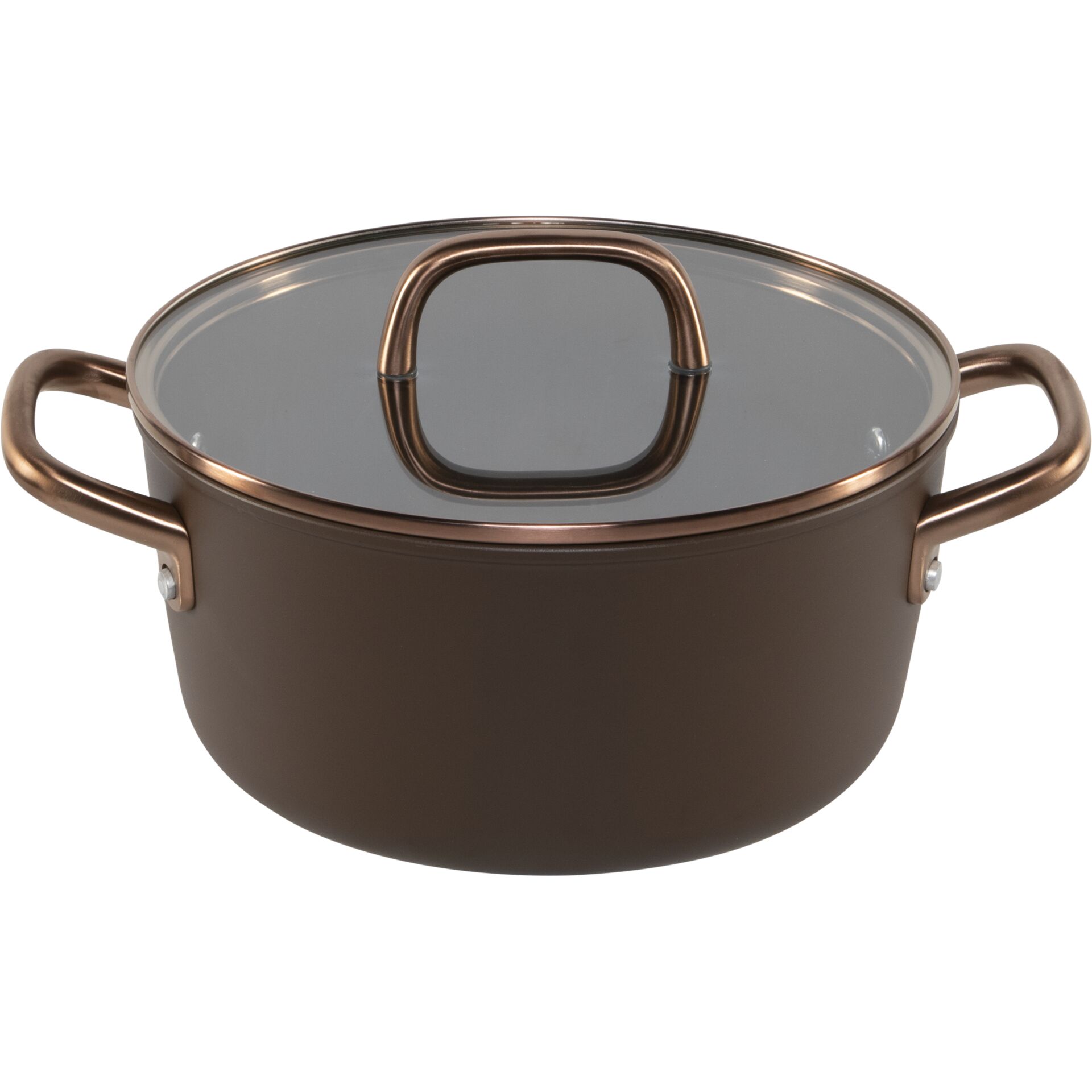 ZWILLING Milano Stock Pot with Glass Lid 24 cm, Brown