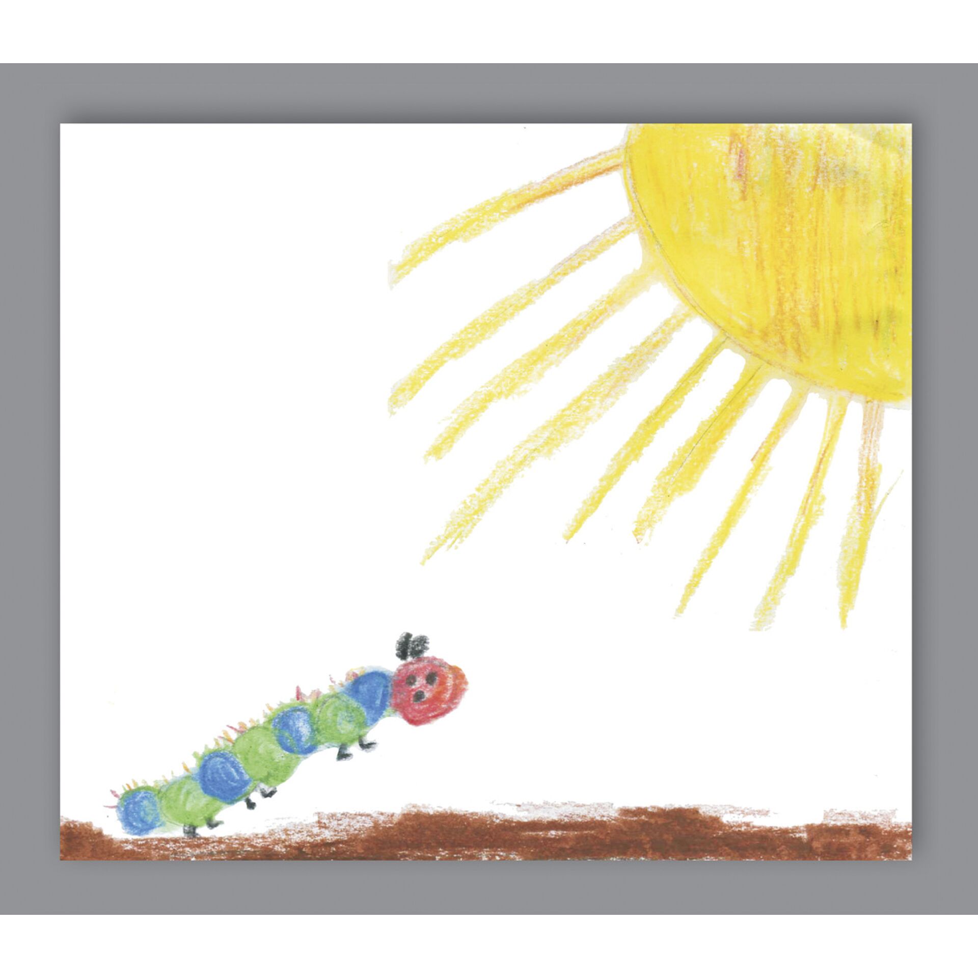 1x25 Daiber Caterpillar 13x18 Portrait folders for children