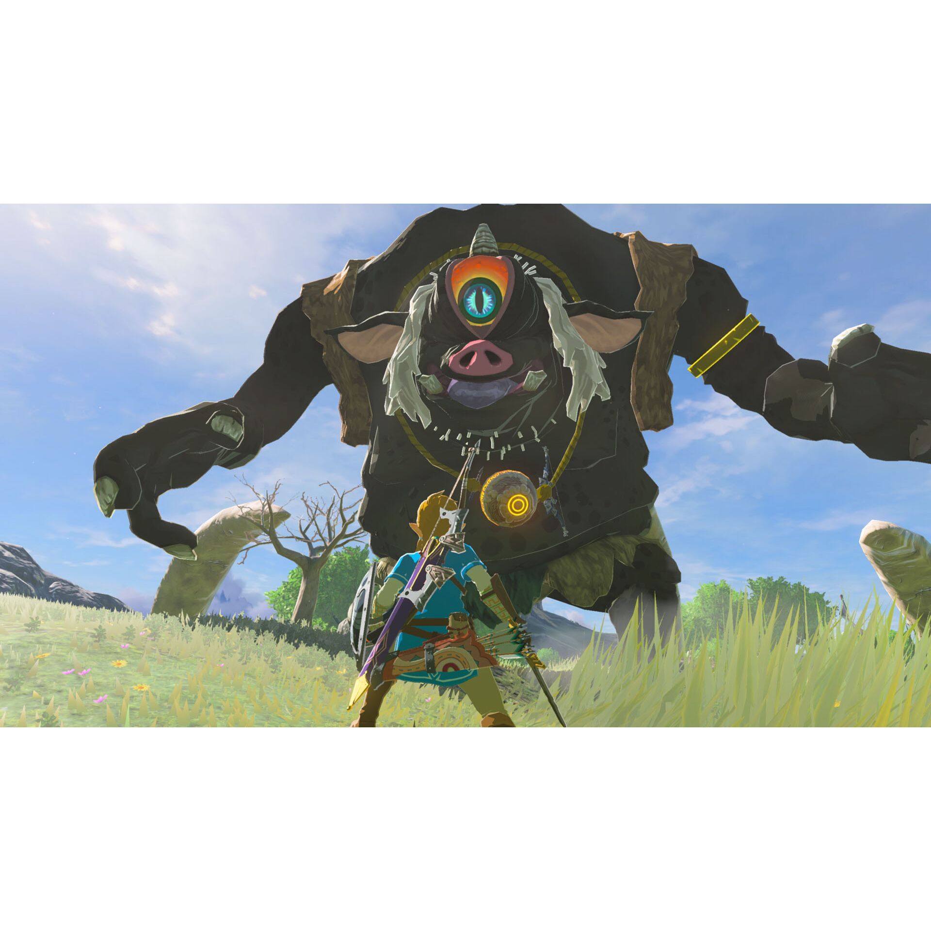 Nintendo Switch 2 Edition The Legend of Zelda: BotW