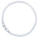 Osram Circular Fluorescent Lamp T5 FC40W 830 2GX13