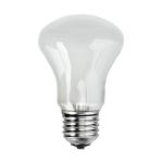 Elinchrom adjsustment light 196V/100W E 27