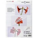 1x25 Olympia Laminating pouches DIN A3 80 micron            9180