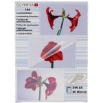 1x100 Olympia Laminating pouches DIN A6 80 micron            9168