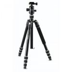 Cullmann Nando 560M  RB8.5