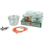 WECK Mold Jar 0,25l Set of 4
